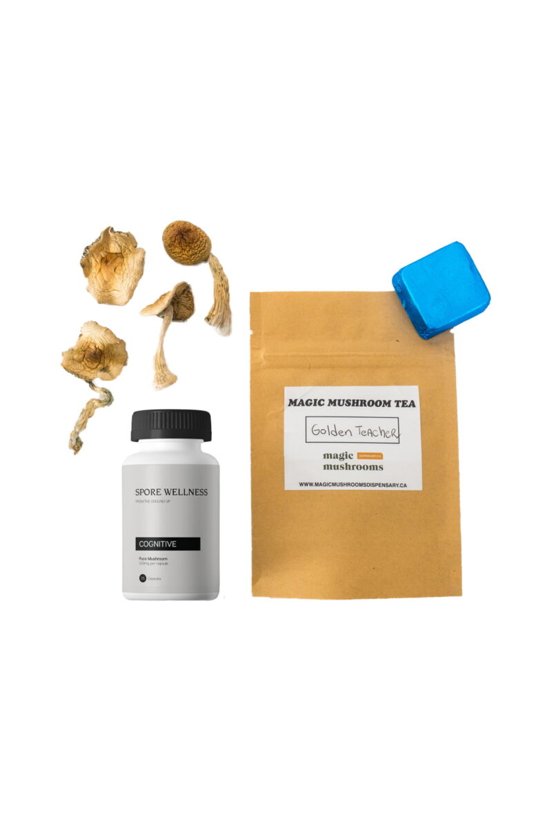 First Timer Magic Mushroom Kit: Psych 101